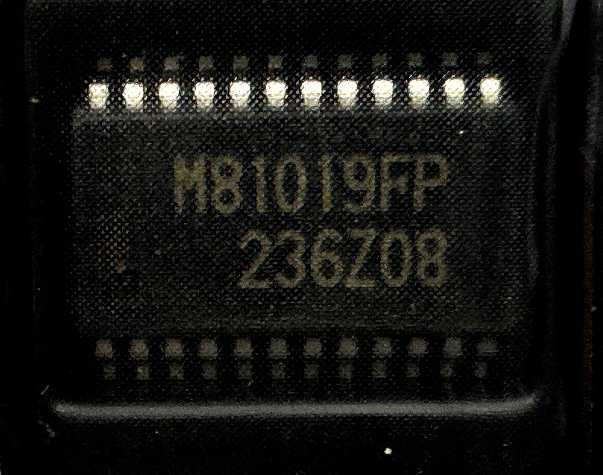 M81019FP